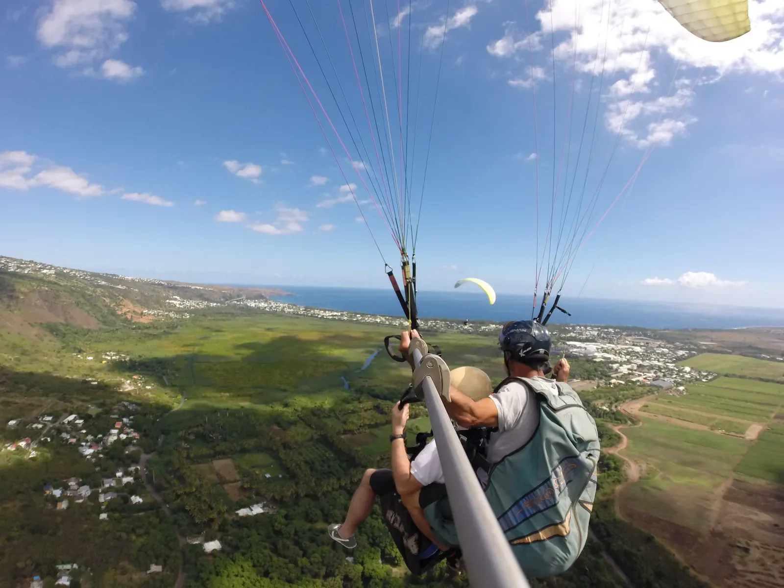 Vol biplace au-dessus des champs de canne à sucre, le littoral à l'horizon